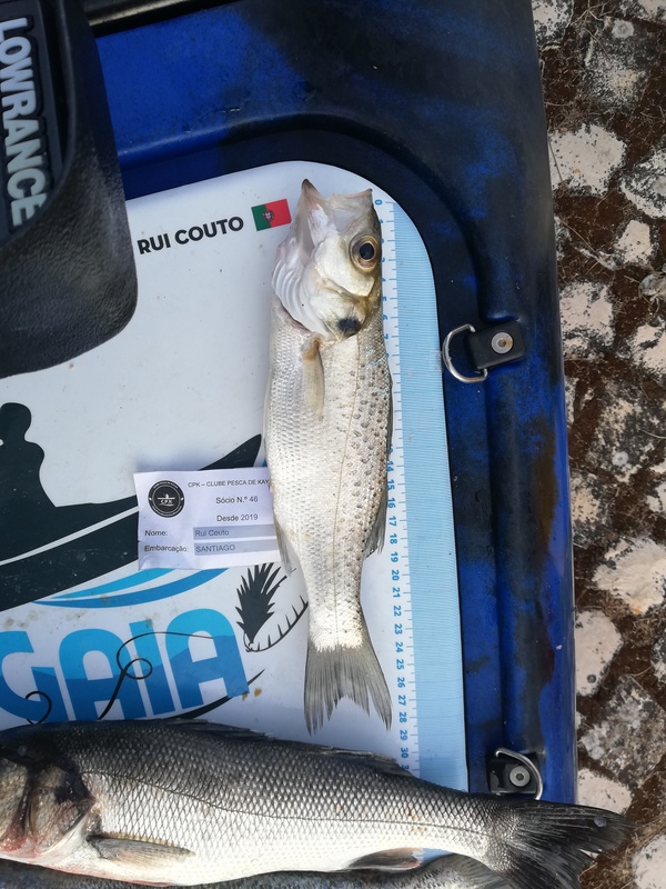 Fish Measure Picture