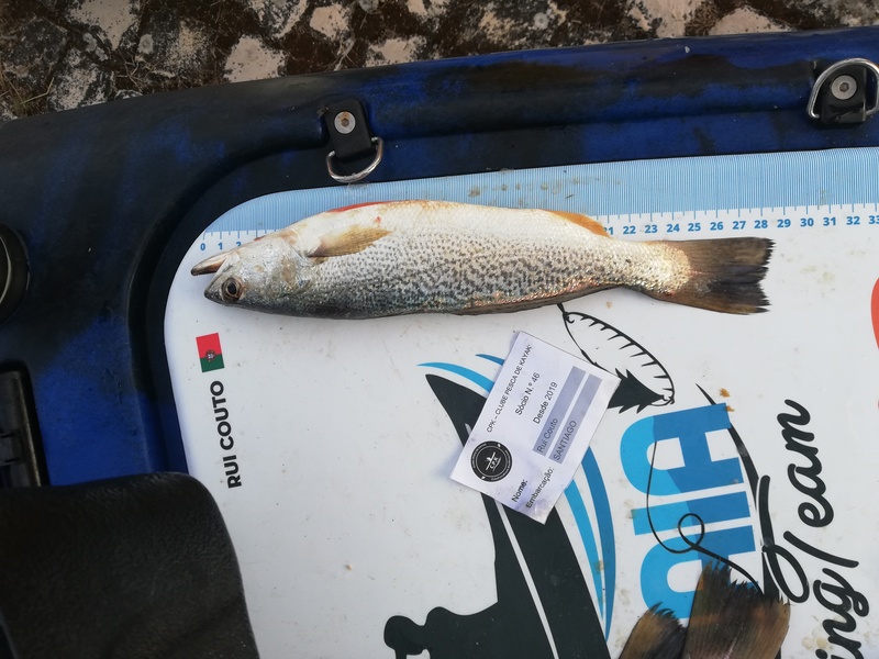 Fish Measure Picture