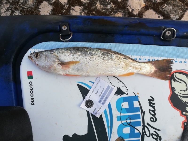 Fish Measure Picture