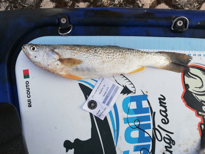 Fish Measure Picture