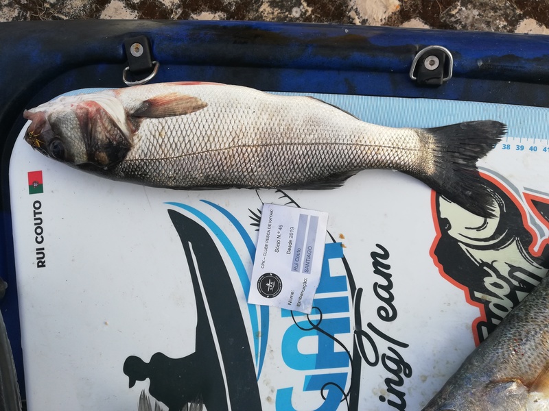 Fish Measure Picture