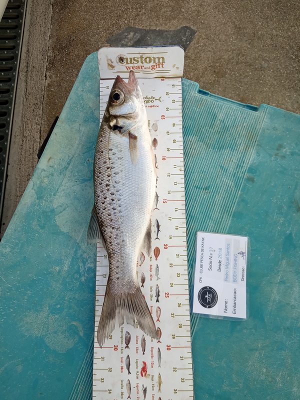 Fish Measure Picture