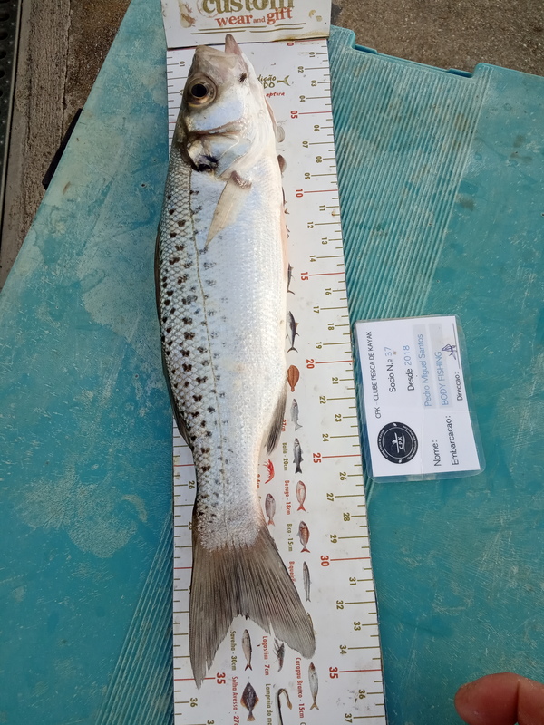 Fish Measure Picture