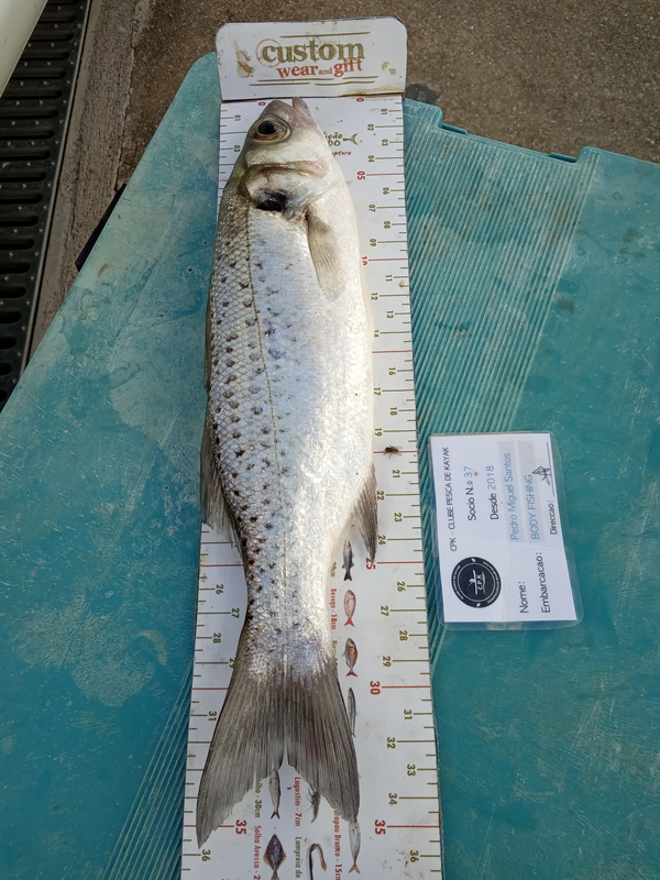 Fish Measure Picture