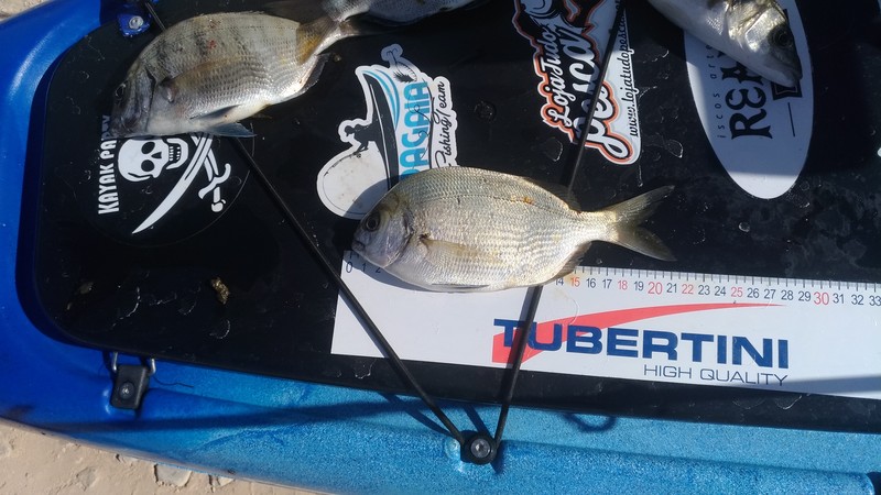 Fish Measure Picture