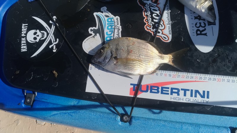 Fish Measure Picture
