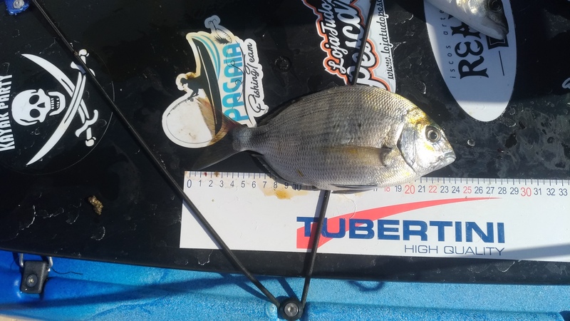 Fish Measure Picture