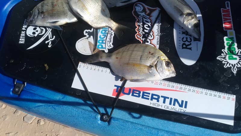 Fish Measure Picture