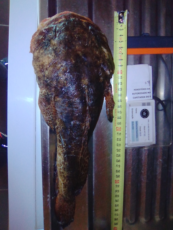 Fish Measure Picture