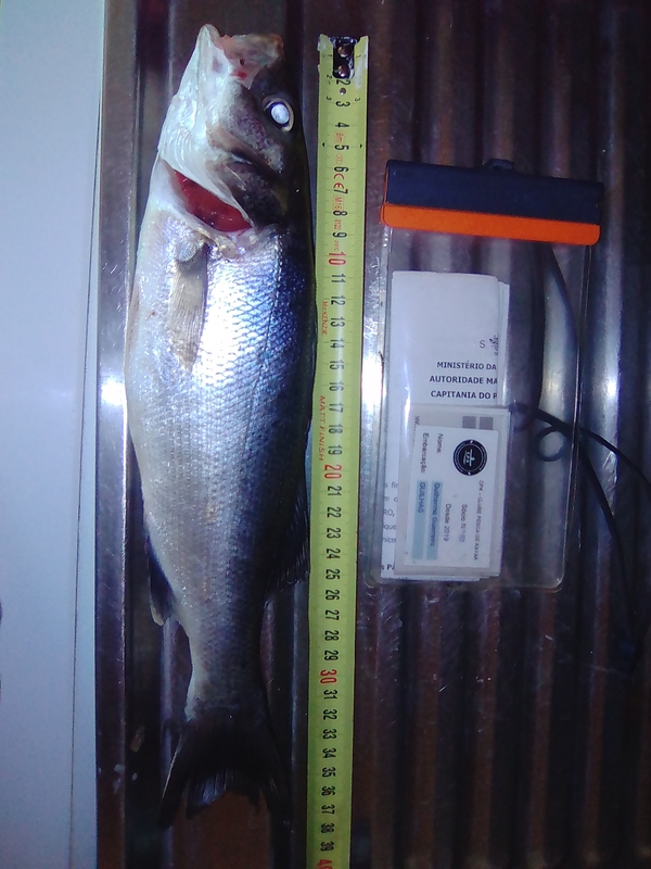 Fish Measure Picture