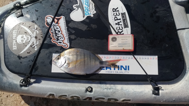 Fish Measure Picture