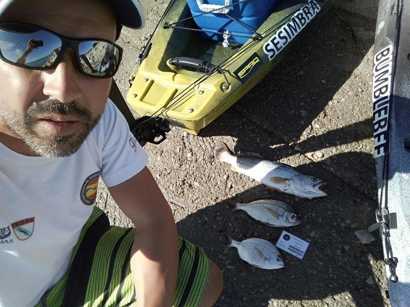 Fish Profile Picture