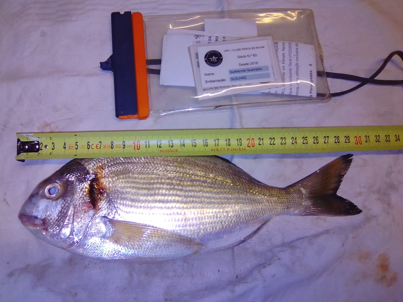 Fish Measure Picture