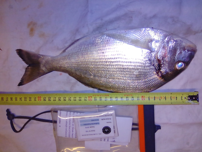 Fish Measure Picture
