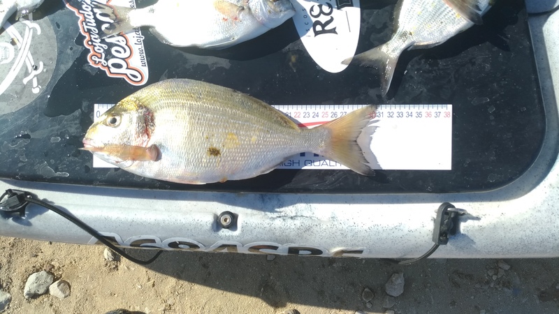 Fish Measure Picture