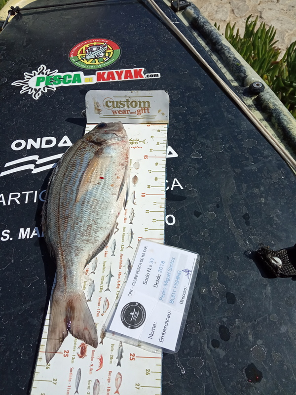 Fish Measure Picture