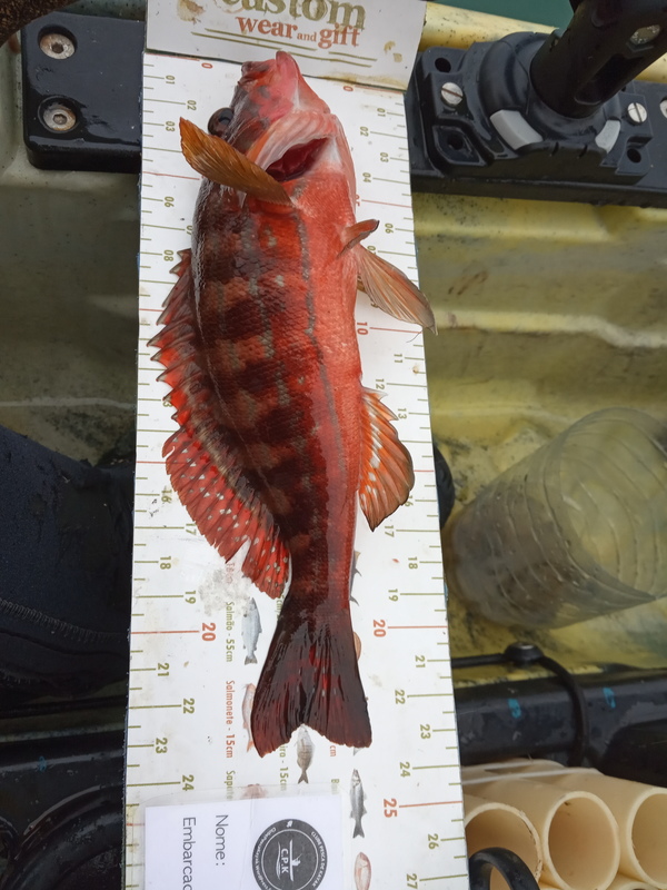 Fish Measure Picture