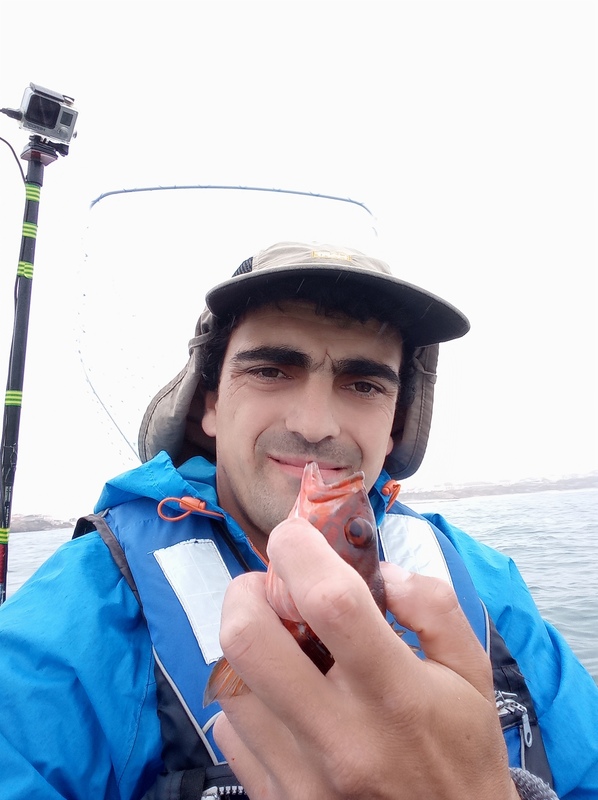 Fish Profile Picture