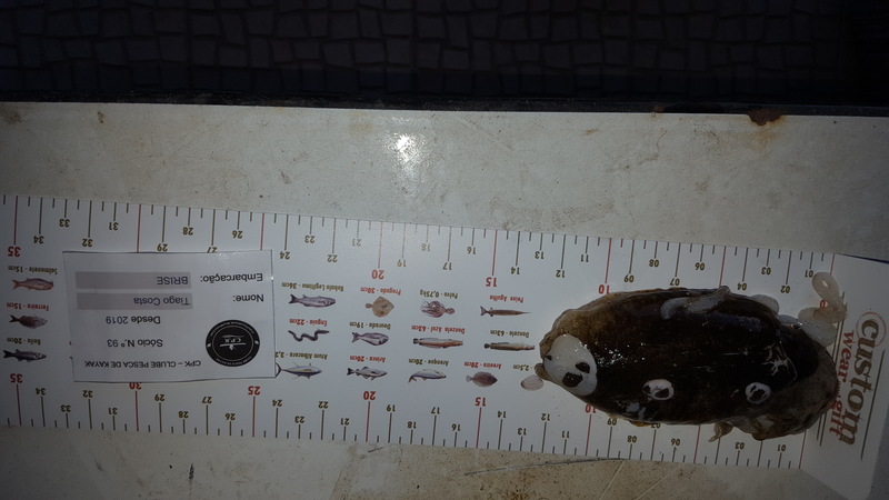 Fish Measure Picture