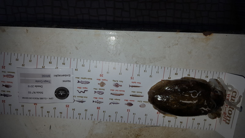 Fish Measure Picture