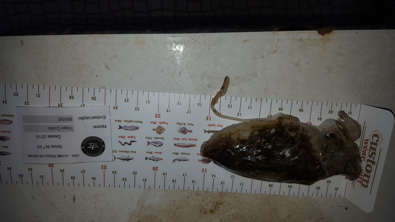 Fish Measure Picture