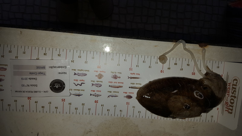 Fish Measure Picture