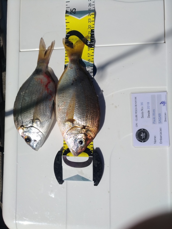 Fish Measure Picture