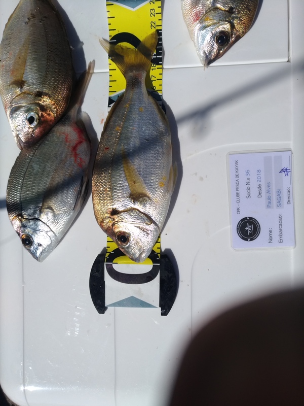 Fish Measure Picture
