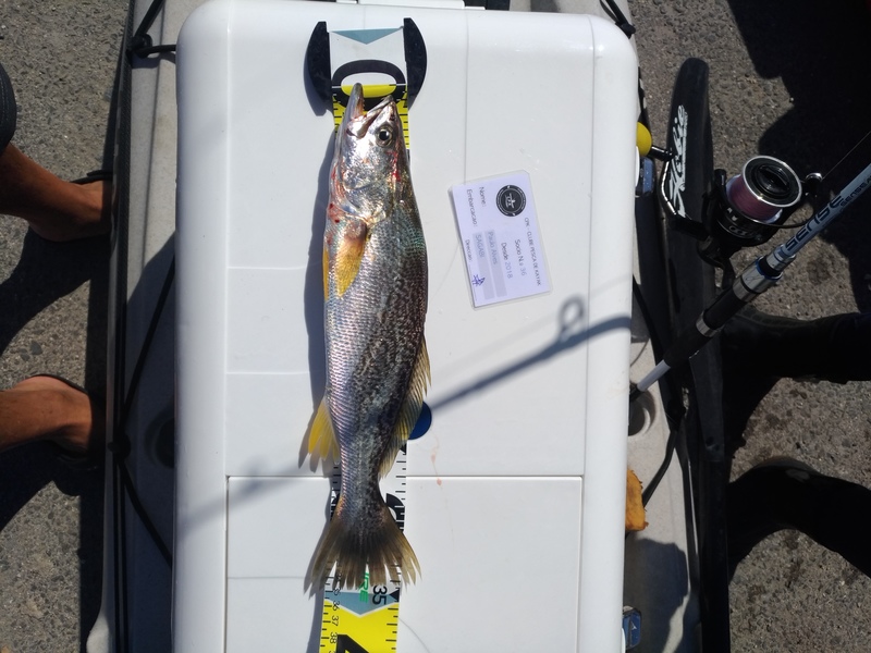 Fish Measure Picture
