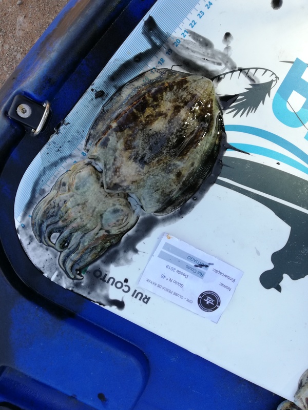 Fish Measure Picture