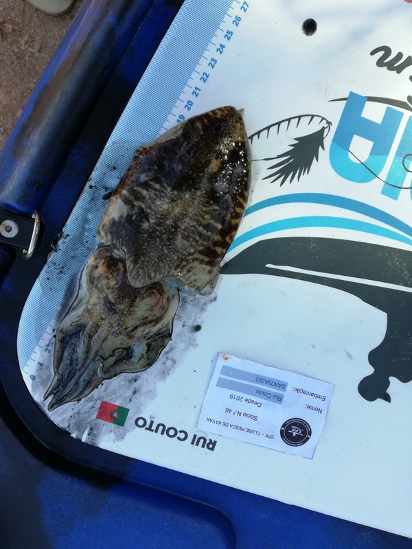 Fish Measure Picture