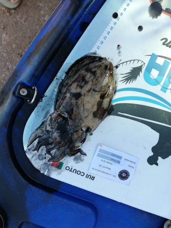 Fish Measure Picture