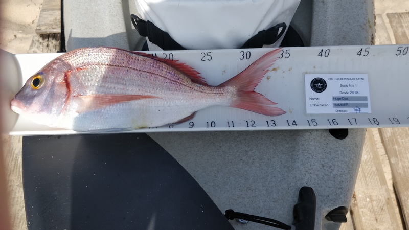 Fish Measure Picture