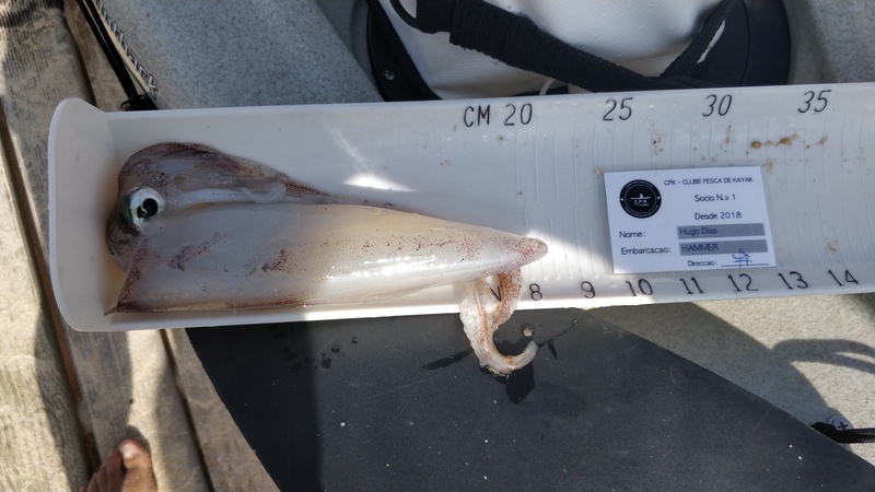 Fish Measure Picture