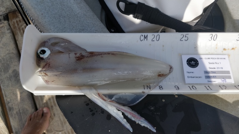 Fish Measure Picture