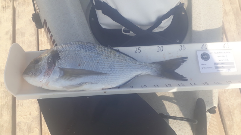 Fish Measure Picture