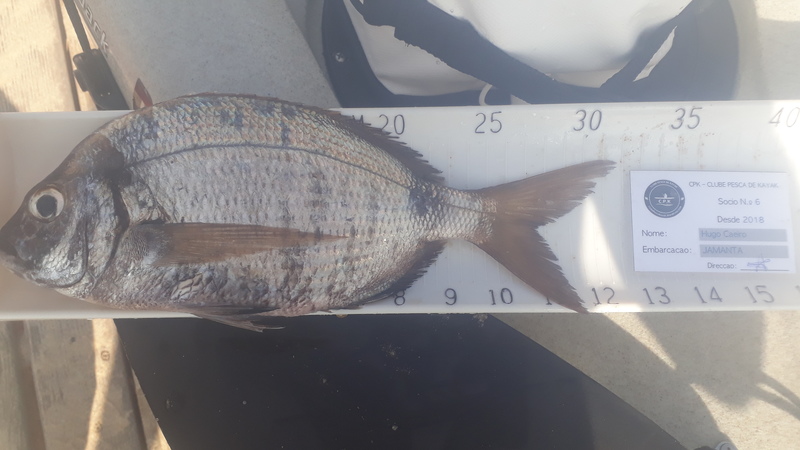 Fish Measure Picture
