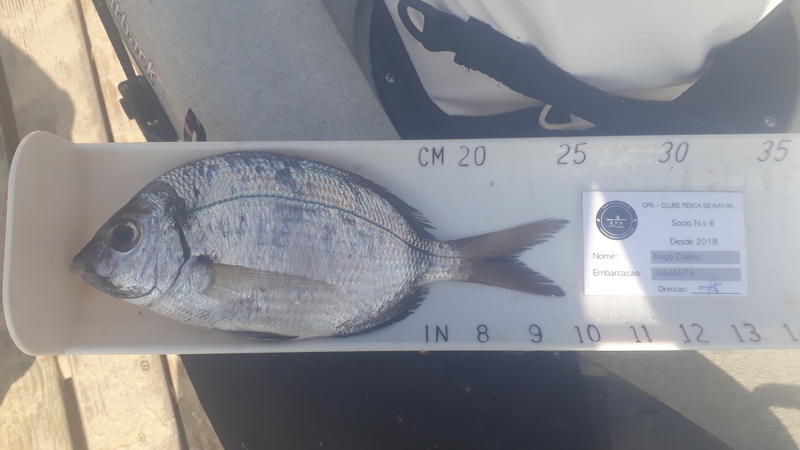 Fish Measure Picture