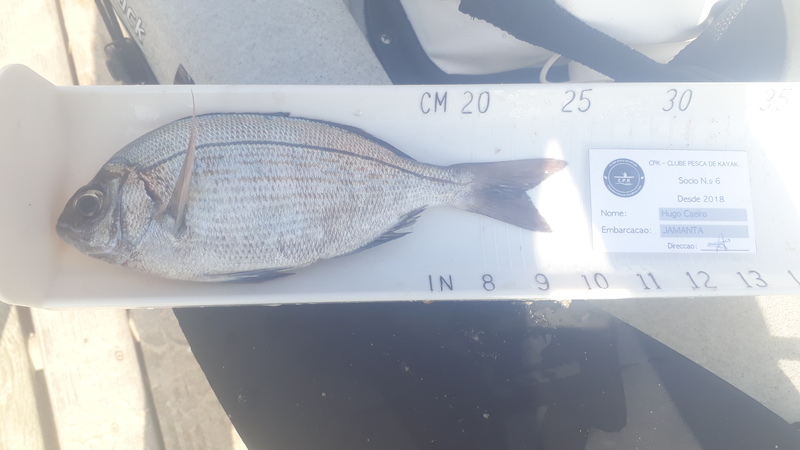 Fish Measure Picture