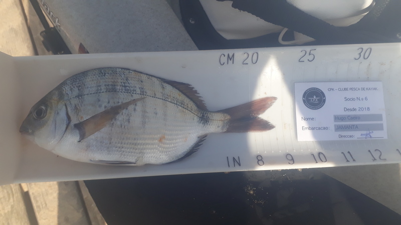 Fish Measure Picture