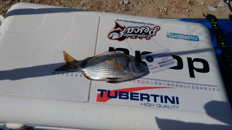 Fish Measure Picture