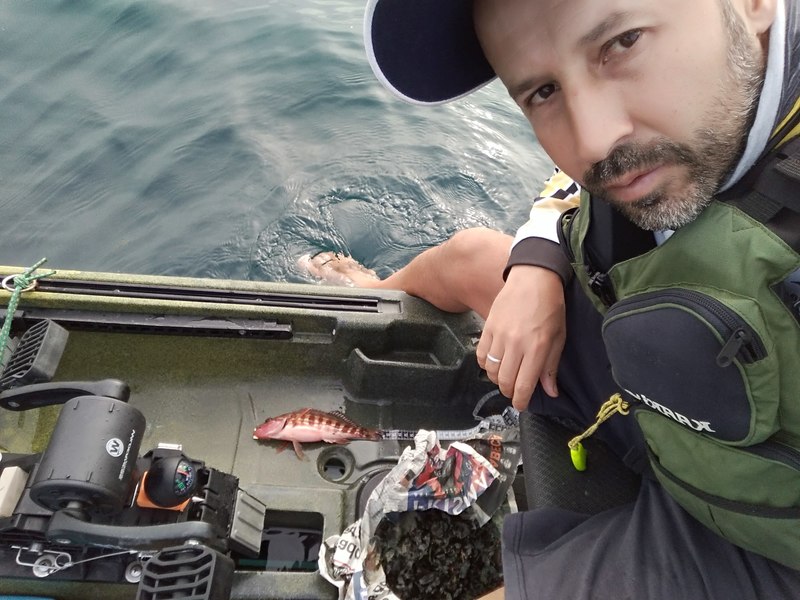 Fish Profile Picture