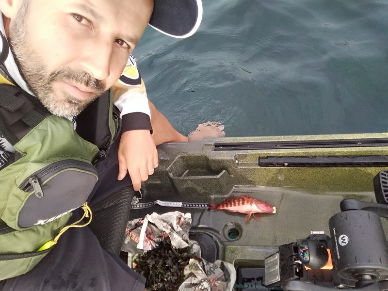Fish Profile Picture