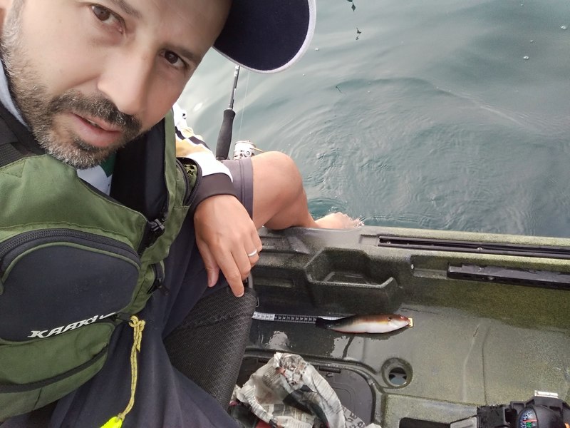 Fish Profile Picture