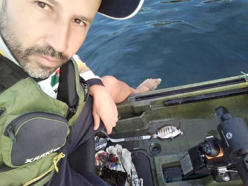 Fish Profile Picture