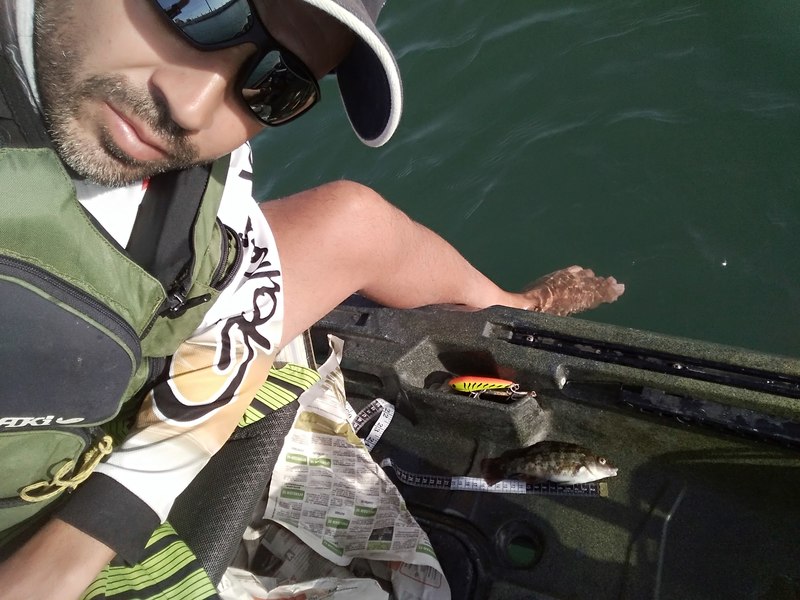 Fish Profile Picture
