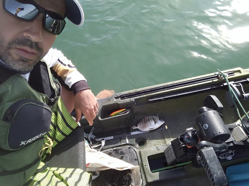 Fish Profile Picture