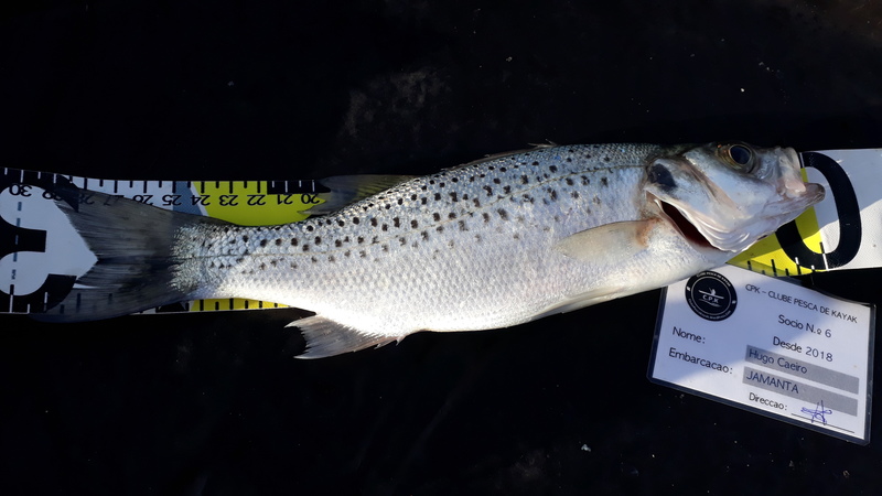Fish Measure Picture