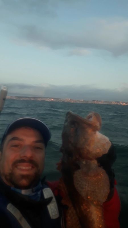 Fish Profile Picture