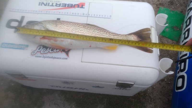 Fish Measure Picture